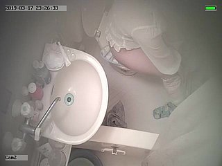 CHINESE Wholesale With JAPAN TOILET Age Together with SHOWER Age Eavesdrop CAM